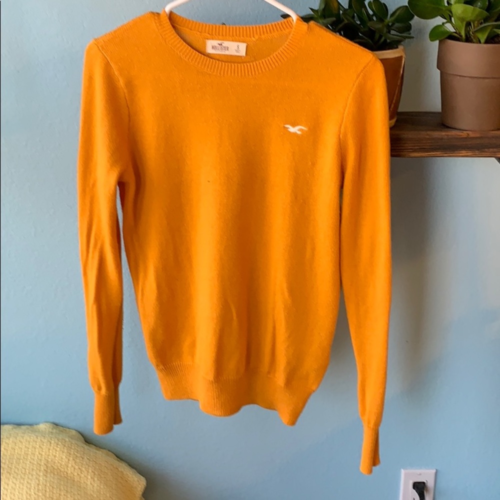 Hollister Sweater